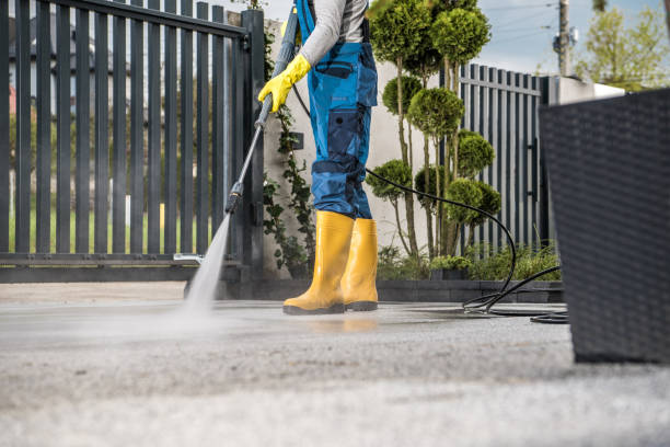 Best Roof Pressure Washing  in Eagle Pass, TX