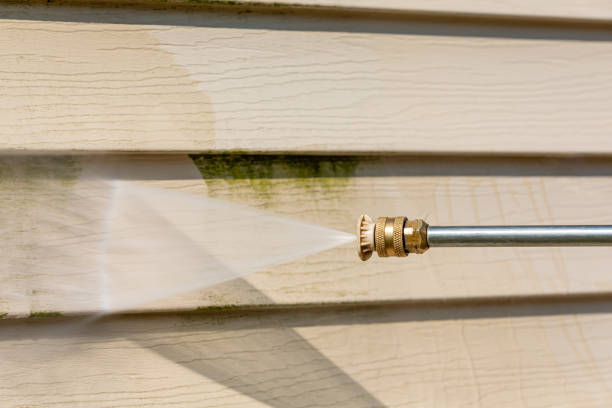 Best Affordable Pressure Washing  in Eagle Pass, TX
