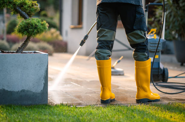 Best Power Washing Near Me  in Eagle Pass, TX